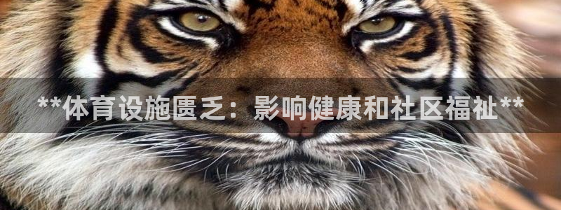 意昂3集团官网首页：**体育设施匮乏：影响健康和社区