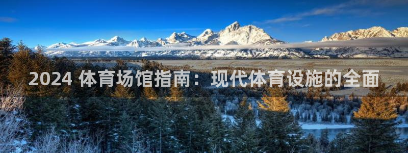 意昂体育3平台注册要钱吗：2024 体育场馆指南：现