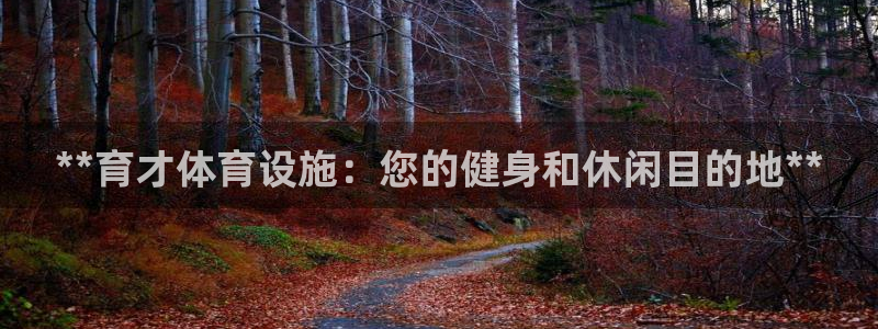 意昂3娱乐是那个系列的台子：**育才体育设施：您的健