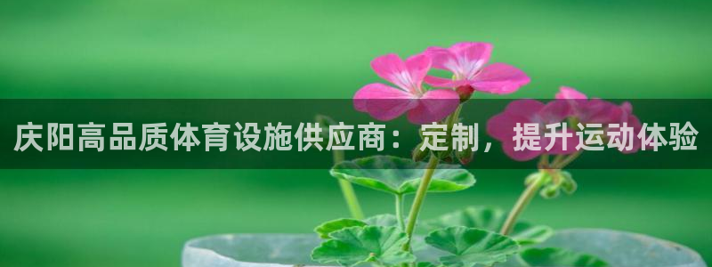 意昂体育3：庆阳高品质体育设施供应商：定制，提升运动