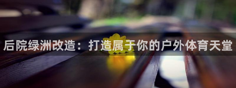 意昂3娱乐下载：后院绿洲改造：打造属于你的户外体育天