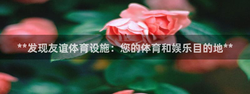 意昂体育3平台注册流程图：**发现友谊体育设施：您的