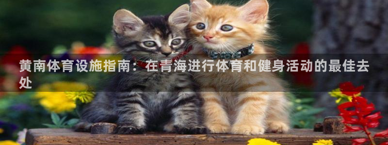 意昂体育3平台注册流程图：黄南体育设施指南：在青海进