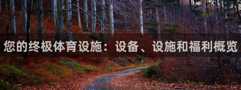 意昂体育3平台是正规平台吗安全吗：您的终极体育设施：