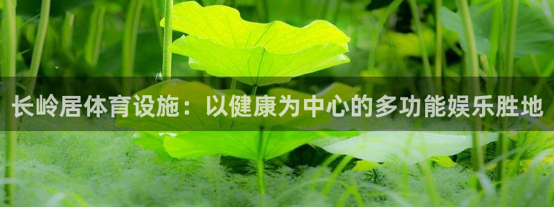 意昂体育3招商电话号码是多少号：长岭居体育设施：以健