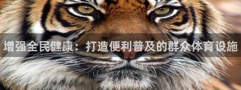海南意昂体育3：增强全民健康：打造便利普及的群众体育