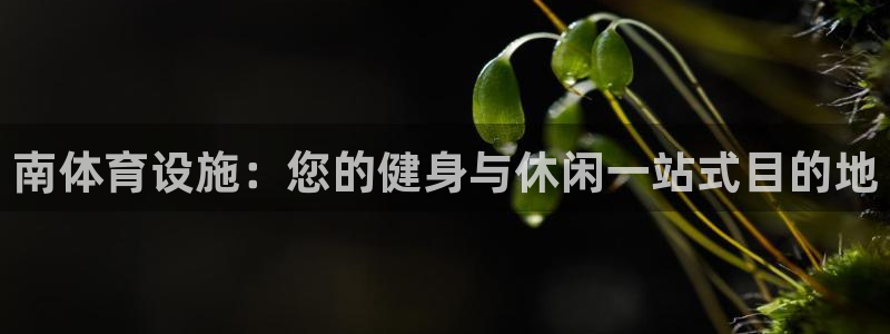 意昂体育3招商电话号码是多少：南体育设施：您的健身与