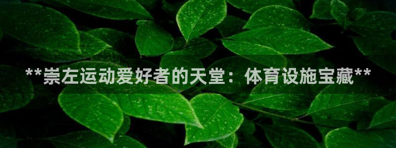 意昂3娱乐40996：**崇左运动爱好者的天堂：体育