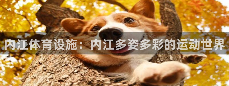 意昂3娱乐：内江体育设施：内江多姿多彩的运动世界