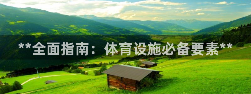 海南意昂体育3：**全面指南：体育设施必备要素**