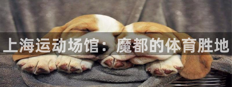 意昂平台体育：上海运动场馆：魔都的体育胜地