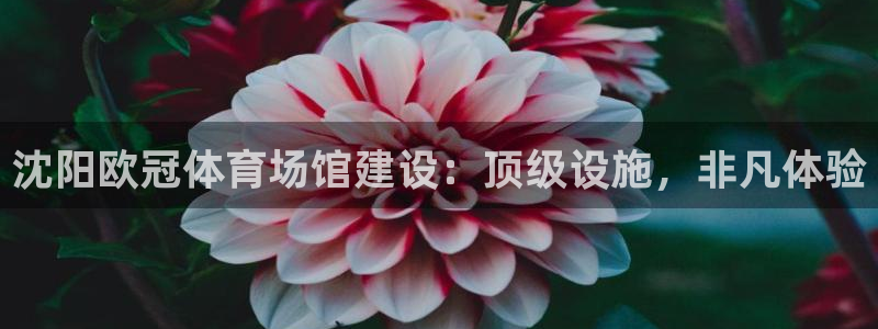 意昂体育3招商电话号码查询：沈阳欧冠体育场馆建设：顶