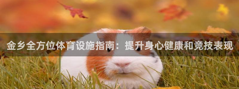 意昂3代理：金乡全方位体育设施指南：提升身心健康和竞