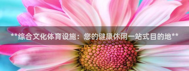 意昂体育3平台注册流程图：**综合文化体育设施：您的