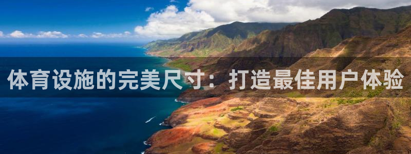 意昂3官网：体育设施的完美尺寸：打造最佳用户体验