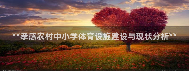 意昂3开户：**孝感农村中小学体育设施建设与现状分析