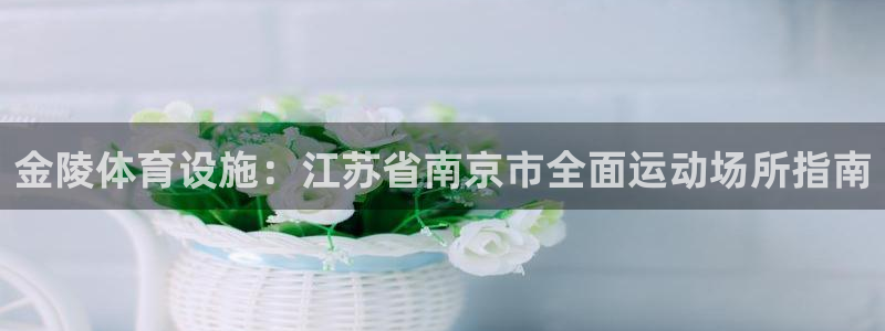 意昂体育3招商电话是多少：金陵体育设施：江苏省南京市