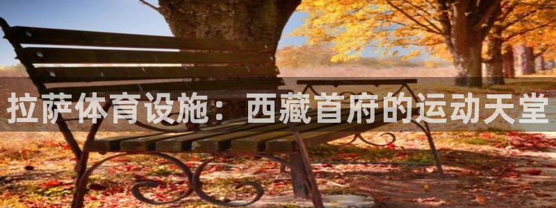 注册意昂3：拉萨体育设施：西藏首府的运动天堂