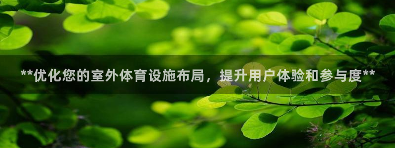 意昂体育3软件：**优化您的室外体育设施布局，提升用