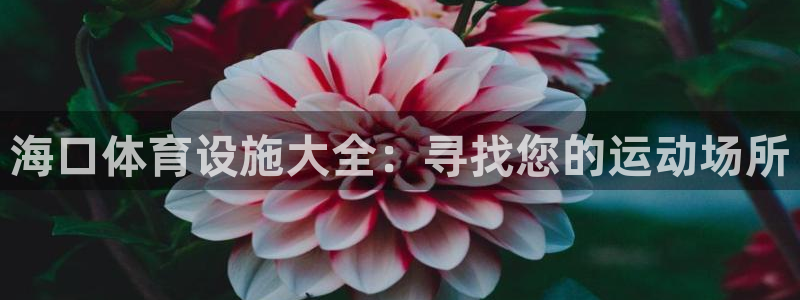 意昂3娱乐平台：海口体育设施大全：寻找您的运动场所