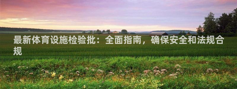 意昂体育3开户：最新体育设施检验批：全面指南，确保安