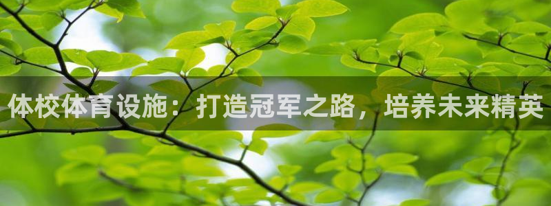 海南意昂体育3：体校体育设施：打造冠军之路，培养未来