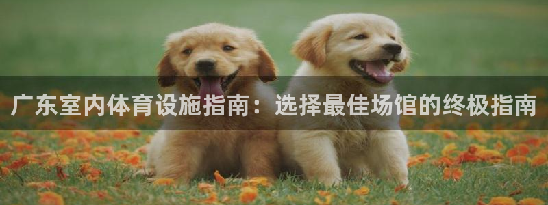 意昂3集团简介：广东室内体育设施指南：选择最佳场馆的
