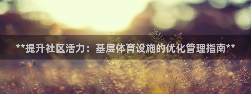 海南意昂体育3：**提升社区活力：基层体育设施的优化