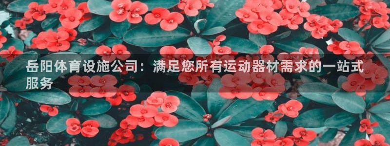 意昂3娱乐40996：岳阳体育设施公司：满足您所有运