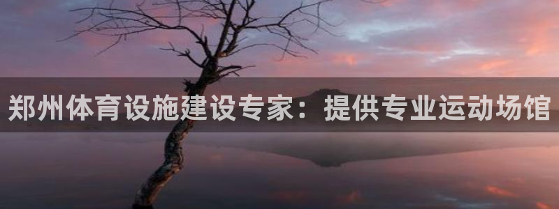 海南意昂体育3：郑州体育设施建设专家：提供专业运动场