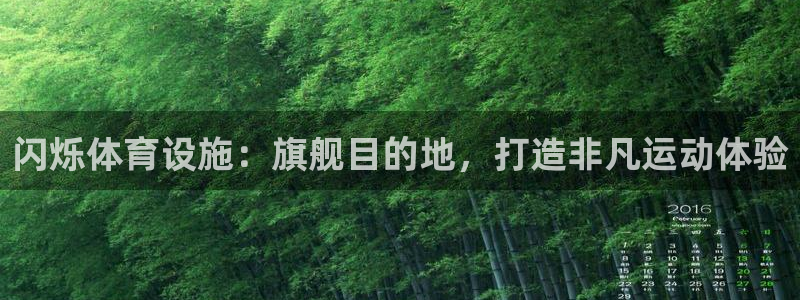 意昂体育3招商电话：闪烁体育设施：旗舰目的地，打造非