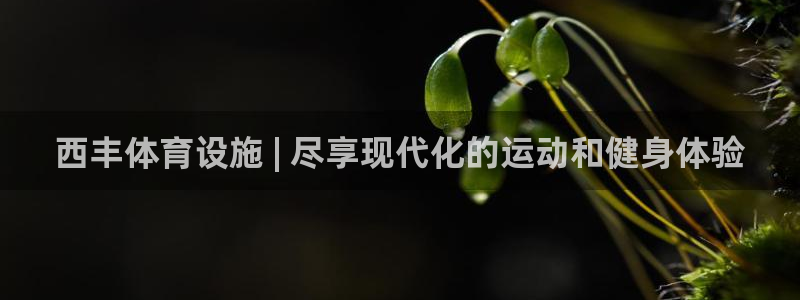 意昂体育3招商电话是多少啊：西丰体育设施 | 尽享现