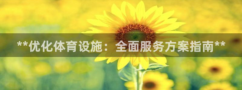 意昂体育3注册：**优化体育设施：全面服务方案指南*