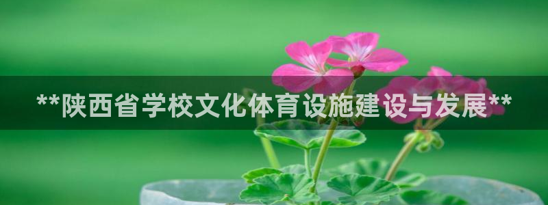 意昂体育3联系电话：**陕西省学校文化体育设施建设与