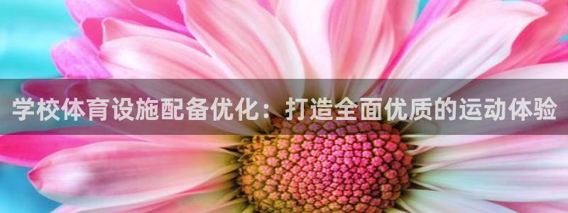 意昂3科技：学校体育设施配备优化：打造全面优质的运动