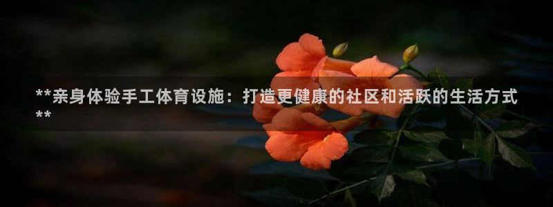 意昂体育3：**亲身体验手工体育设施：打造更健康的社