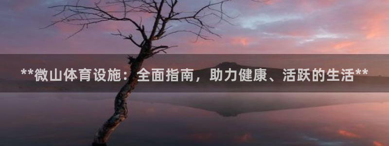 意昂体育3招商电话：**微山体育设施：全面指南，助力