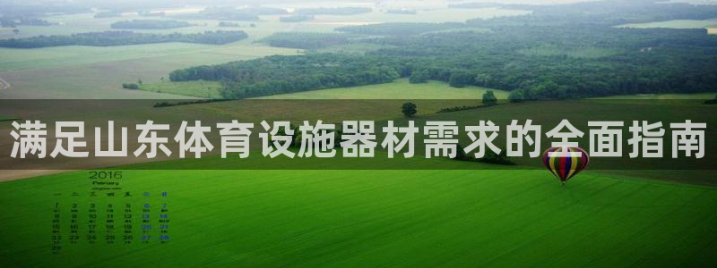 意昂3集团logo：满足山东体育设施器材需求的全面指