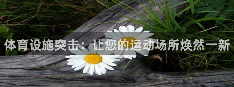 意昂3官方：体育设施突击：让您的运动场所焕然一新