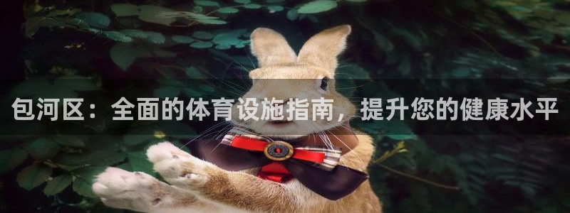 意昂3集团官网首页网址：包河区：全面的体育设施指南，