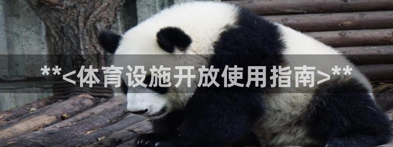 意昂体育3平台假的吗是真的吗吗：**<体育设施开放使