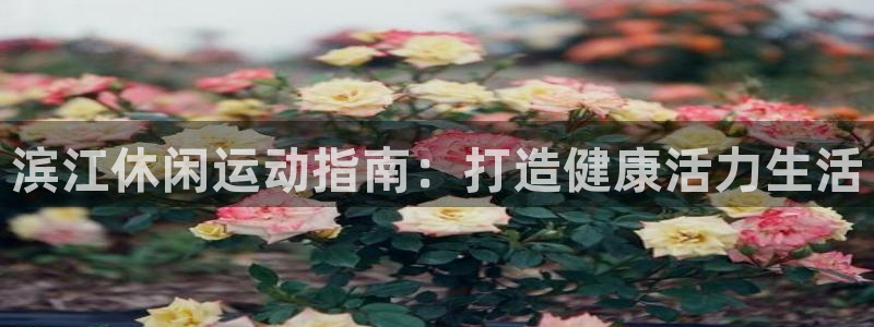 意昂体育3：滨江休闲运动指南：打造健康活力生活