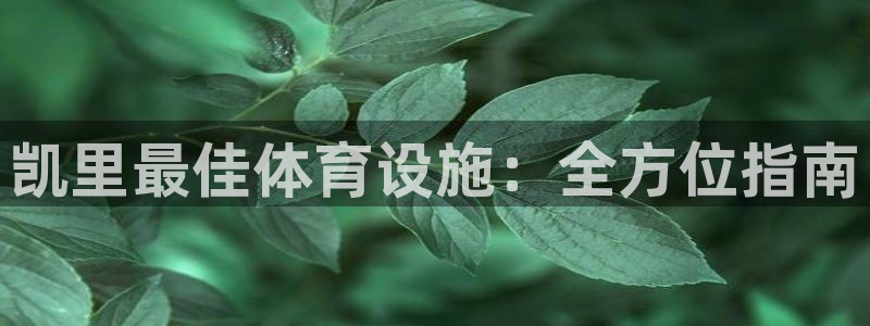 意昂体育3平台注册流程视频：凯里最佳体育设施：全方位