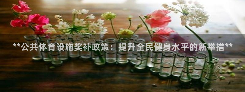 意昂体育3招商：**公共体育设施奖补政策：提升全民健