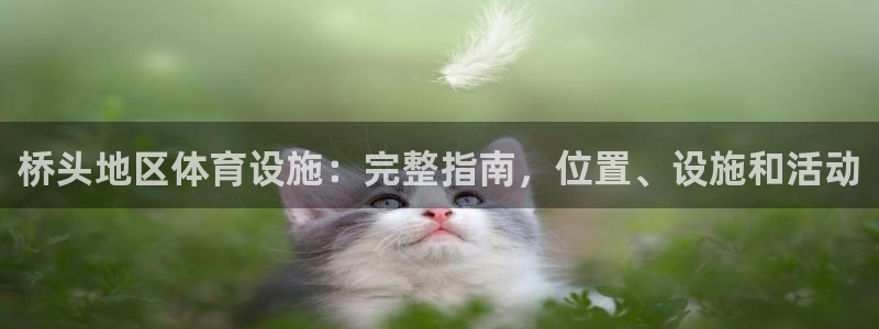 意昂体育3招商电话地址：桥头地区体育设施：完整指南，