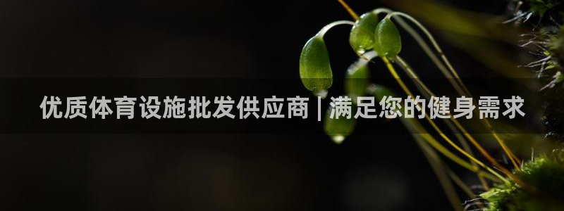 海南意昂体育3发展怎么样：优质体育设施批发供应商 |