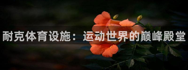 意昂平台体育：耐克体育设施：运动世界的巅峰殿堂