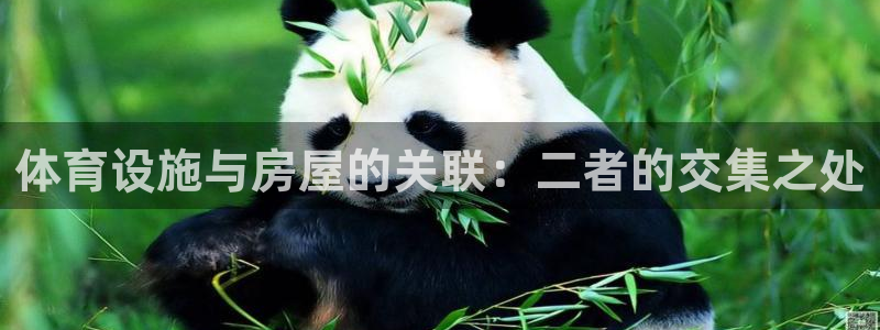 意昂3娱乐首页官网下载：体育设施与房屋的关联：二者的