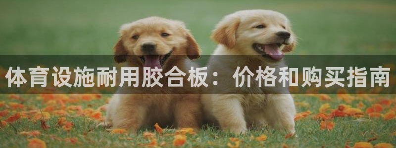 意昂体育3招商电话地址：体育设施耐用胶合板：价格和购