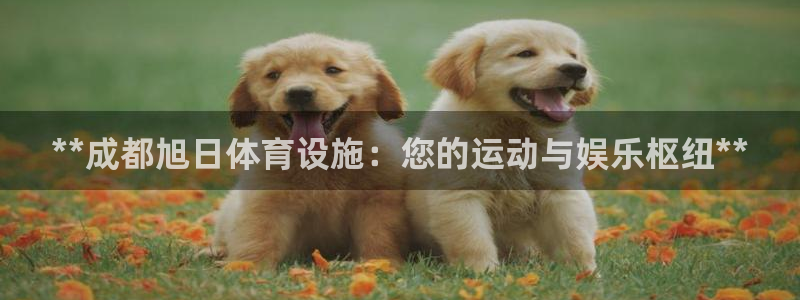 意昂体育3娱乐：**成都旭日体育设施：您的运动与娱乐